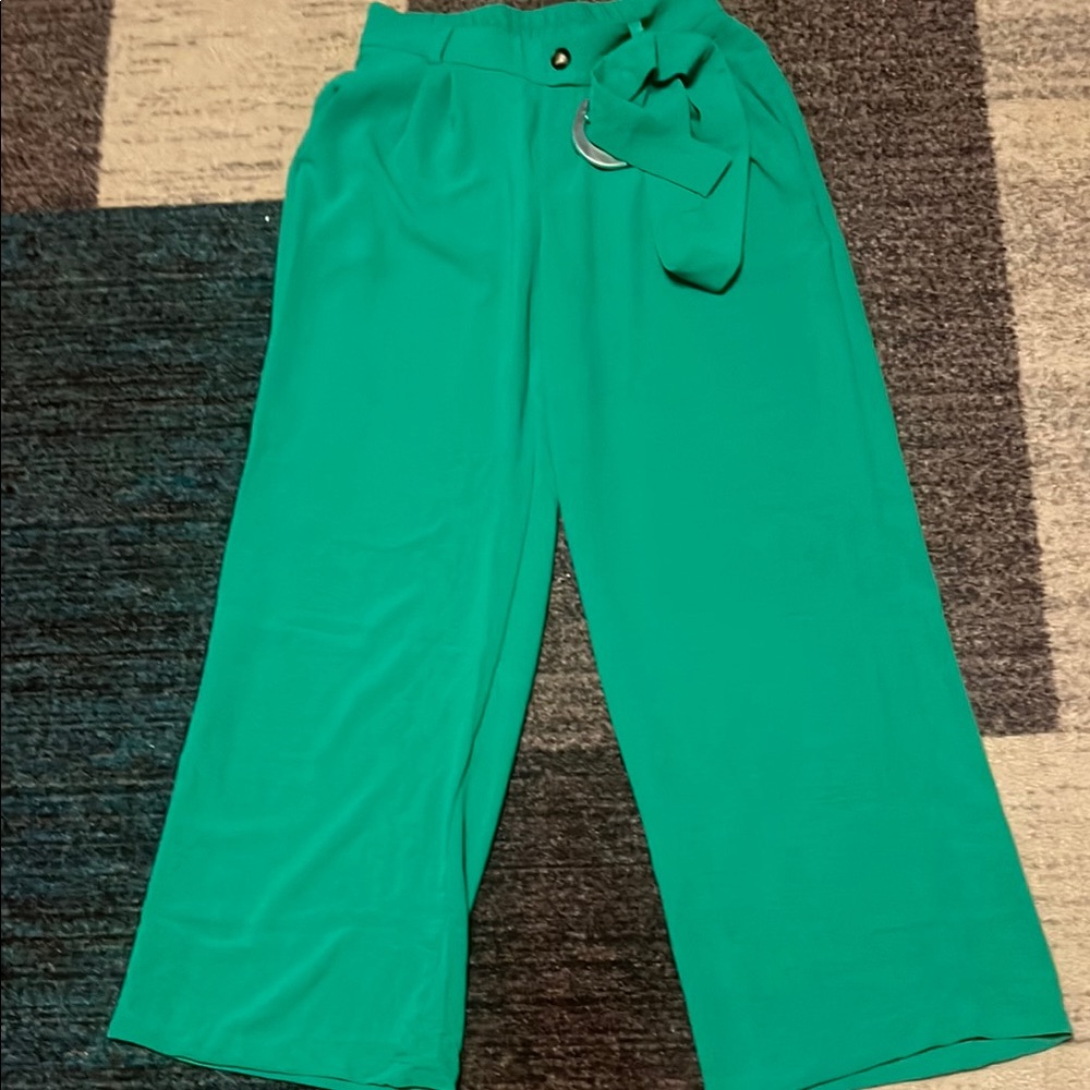 Tullea Vibrant Green Wide-Leg Pants XL